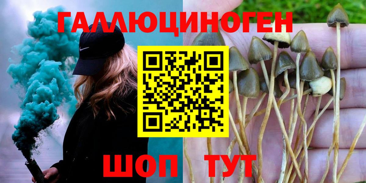 Галлюциногенные грибы MAGIC MUSHROOMS  Вход с VPN  купить наркоту  Ахтубинск 